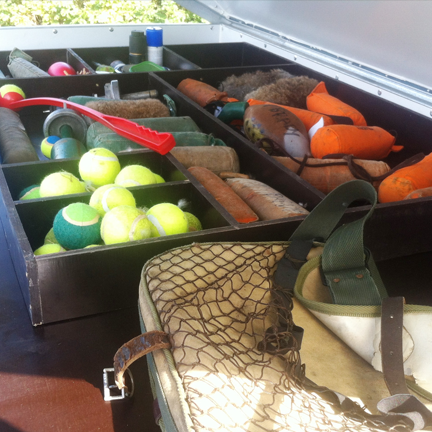 Dog Trecker - Dog Trailer
