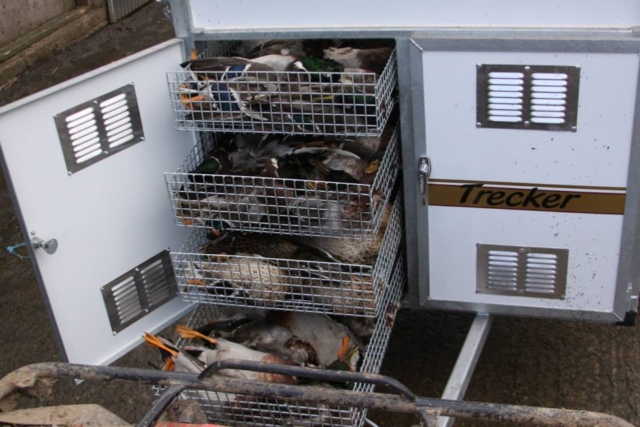 Game Trailer manufactured by KM Dog Trailers