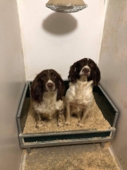 KM Dog Trailers manufacturer of jumped up dog bed