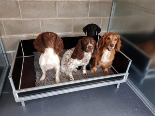 KM Dog Trailers Jump Up Dog Beds