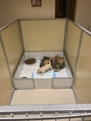 Whelping puppy pen