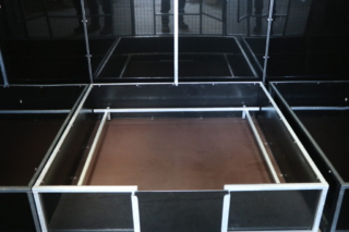 Whelping box, whelping pen hygienic surfaces.