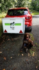 Dog Cube for transporting dogs dog box for towbar - manufactured by KM Dog Trailers