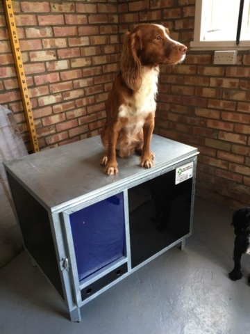 Dog Cabins - dog kennels Dog kennels manufactured by KM Dog Trailers