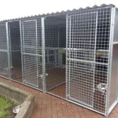 Dog Kennel