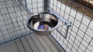 Dog Kennel